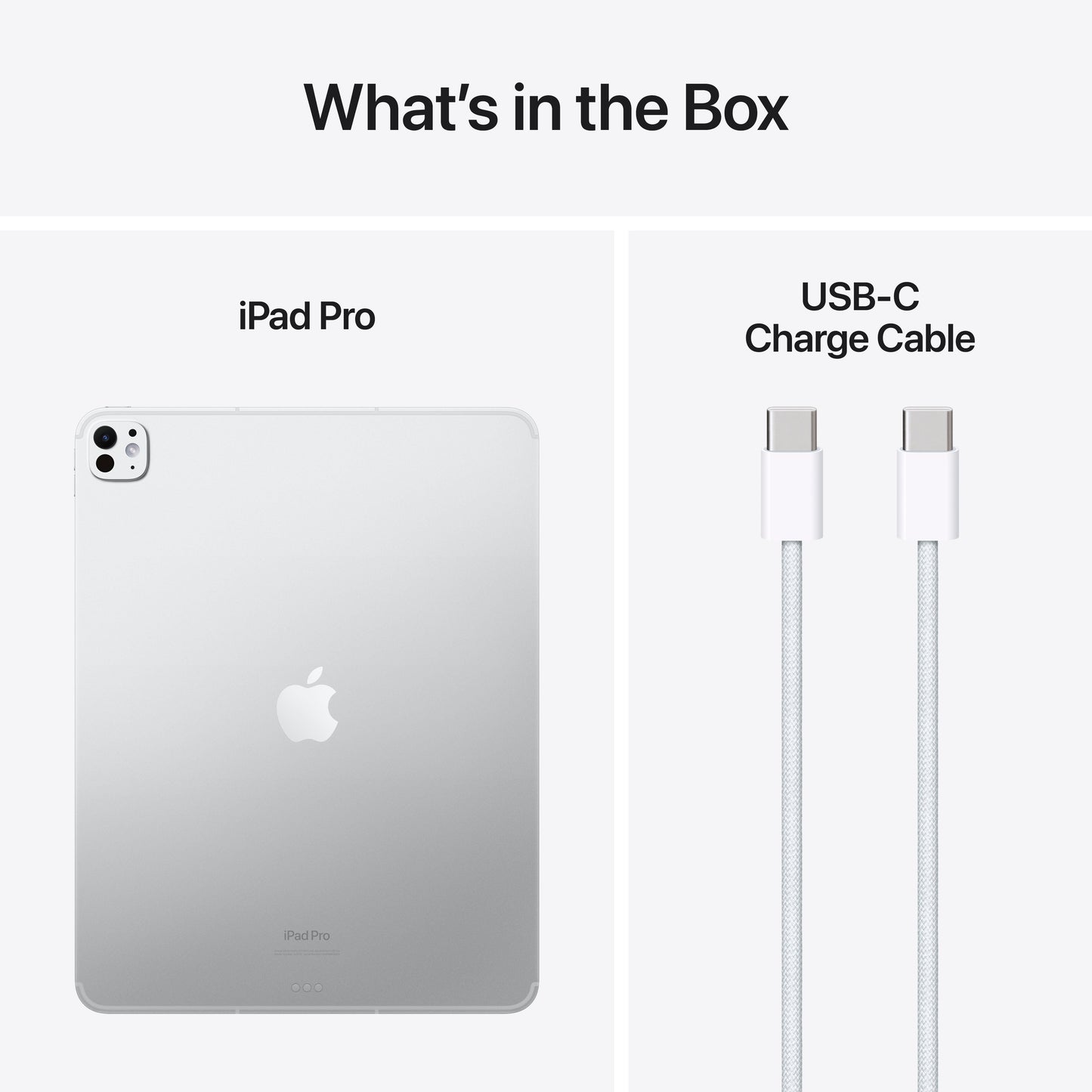 iPad_Pro_13_M4_Cellular_Silver_PDP_Image_Position_9__WWEN