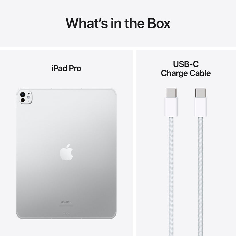 iPad_Pro_13_M4_Cellular_Silver_PDP_Image_Position_9__WWEN