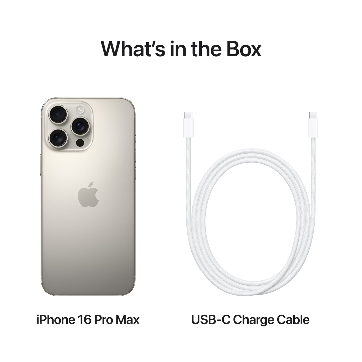 iPhone_16_Pro_Max_Natural_Titanium_PDP_Image_Position_9__en-WW